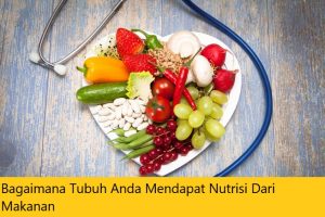 Bagaimana Tubuh Anda Mendapat Nutrisi Dari Makanan